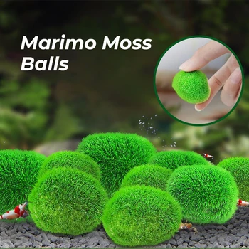 2 cm-4 cm Marimo Moss Kroglice v Živo Akvarij Rastlin, Alge Ribe, Kozice Tank Ornament Simulacije Zelene Alge Kroglice Umetna Rastlina